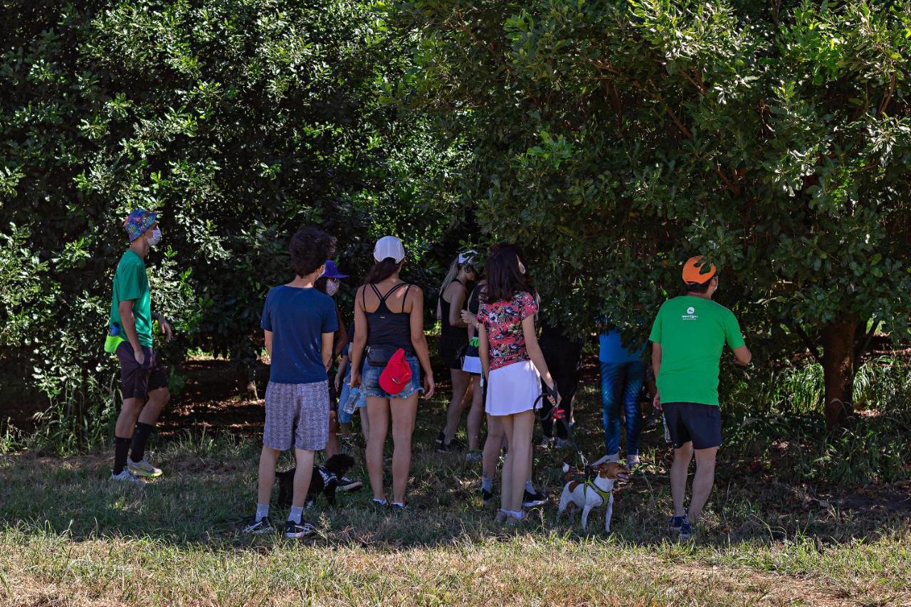 Santa Eliza Eco Resort Ribeirão Bonito Eksteriør billede