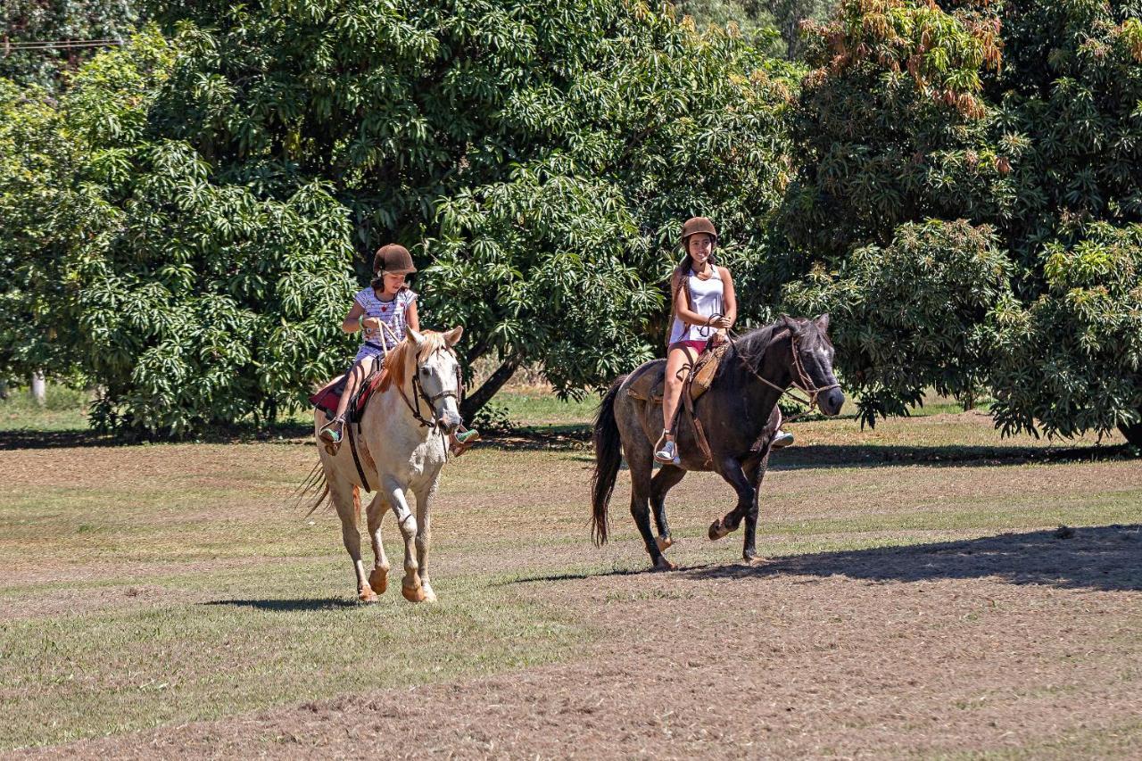Santa Eliza Eco Resort Ribeirão Bonito Eksteriør billede